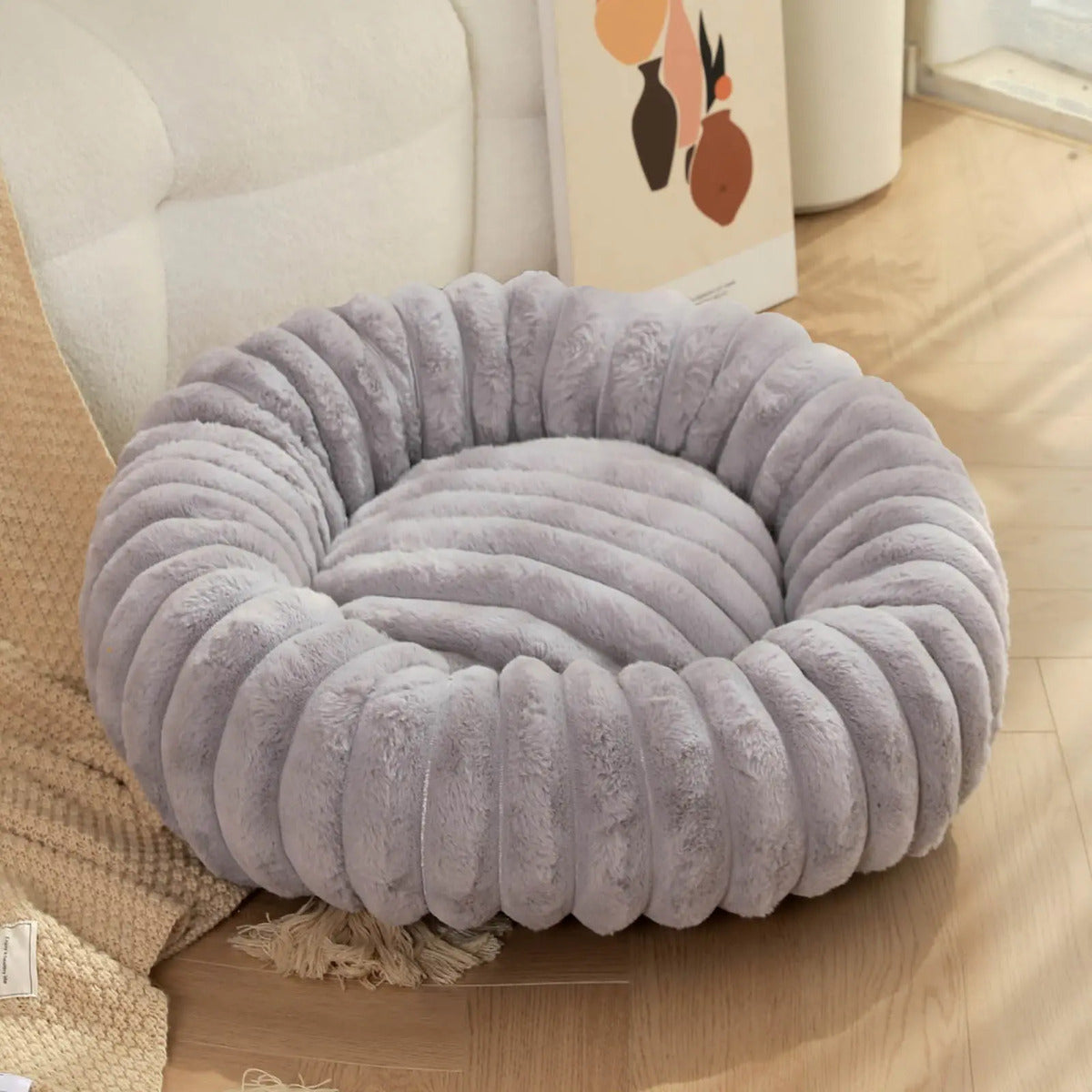 DreamPet Comfort🐕🐈