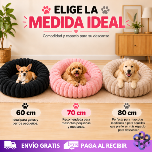 DreamPet Comfort🐕🐈