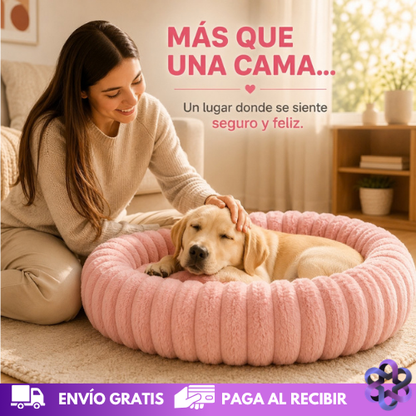 DreamPet Comfort🐕🐈