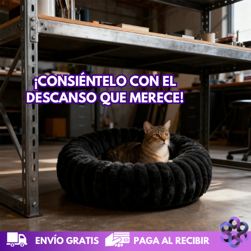DreamPet Comfort🐕🐈